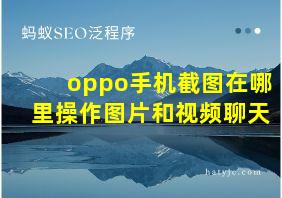 oppo手机截图在哪里操作图片和视频聊天