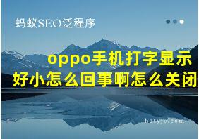 oppo手机打字显示好小怎么回事啊怎么关闭