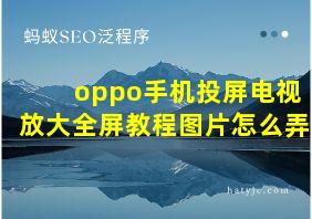 oppo手机投屏电视放大全屏教程图片怎么弄