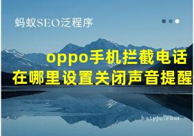 oppo手机拦截电话在哪里设置关闭声音提醒