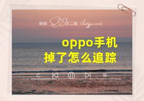 oppo手机掉了怎么追踪