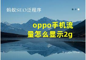 oppo手机流量怎么显示2g