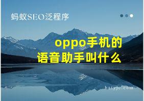 oppo手机的语音助手叫什么