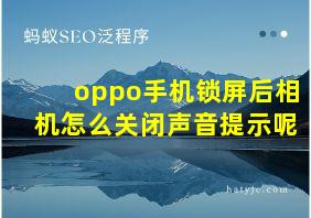 oppo手机锁屏后相机怎么关闭声音提示呢