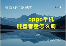 oppo手机键盘音量怎么调