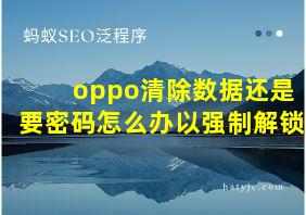 oppo清除数据还是要密码怎么办以强制解锁