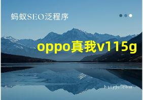 oppo真我v115g