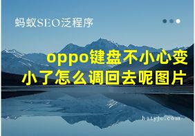 oppo键盘不小心变小了怎么调回去呢图片