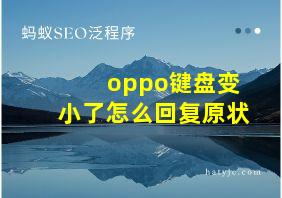 oppo键盘变小了怎么回复原状