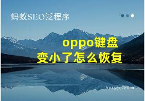 oppo键盘变小了怎么恢复