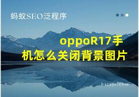 oppoR17手机怎么关闭背景图片