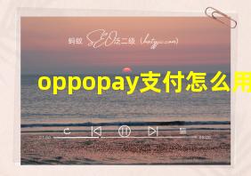 oppopay支付怎么用