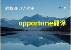 opportune翻译