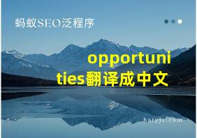 opportunities翻译成中文