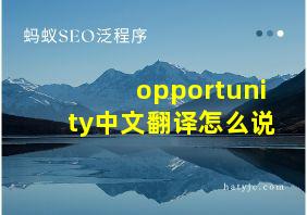 opportunity中文翻译怎么说