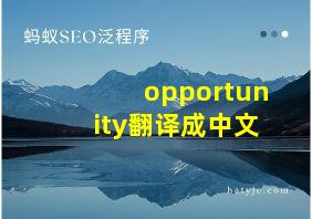 opportunity翻译成中文