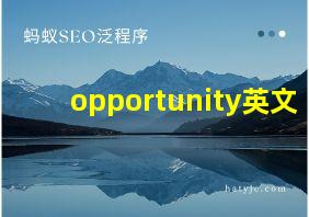 opportunity英文