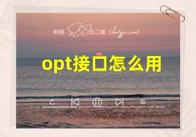 opt接口怎么用