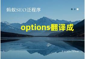 options翻译成