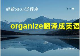 organize翻译成英语