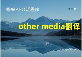 other media翻译