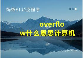 overflow什么意思计算机