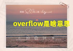 overflow是啥意思