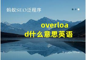 overload什么意思英语