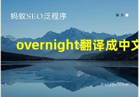 overnight翻译成中文