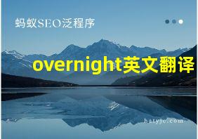 overnight英文翻译