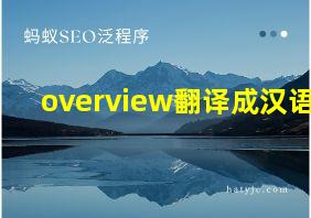 overview翻译成汉语