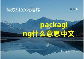 packaging什么意思中文