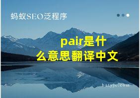 pair是什么意思翻译中文