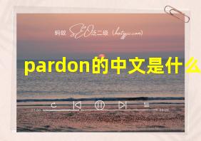 pardon的中文是什么