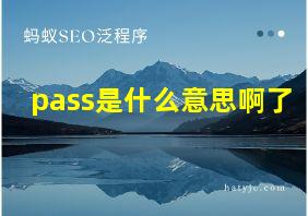 pass是什么意思啊了