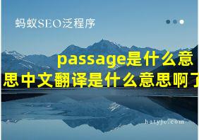 passage是什么意思中文翻译是什么意思啊了