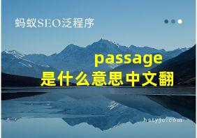 passage是什么意思中文翻