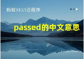 passed的中文意思