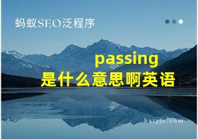 passing是什么意思啊英语