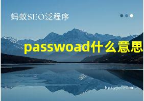 passwoad什么意思?