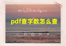 pdf查字数怎么查