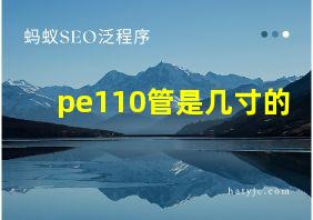 pe110管是几寸的