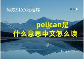 pelican是什么意思中文怎么读