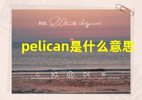 pelican是什么意思