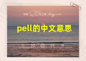 pell的中文意思