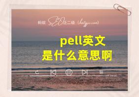 pell英文是什么意思啊