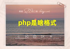 php是啥格式