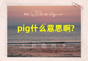 pig什么意思啊?