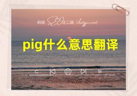 pig什么意思翻译