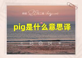 pig是什么意思译